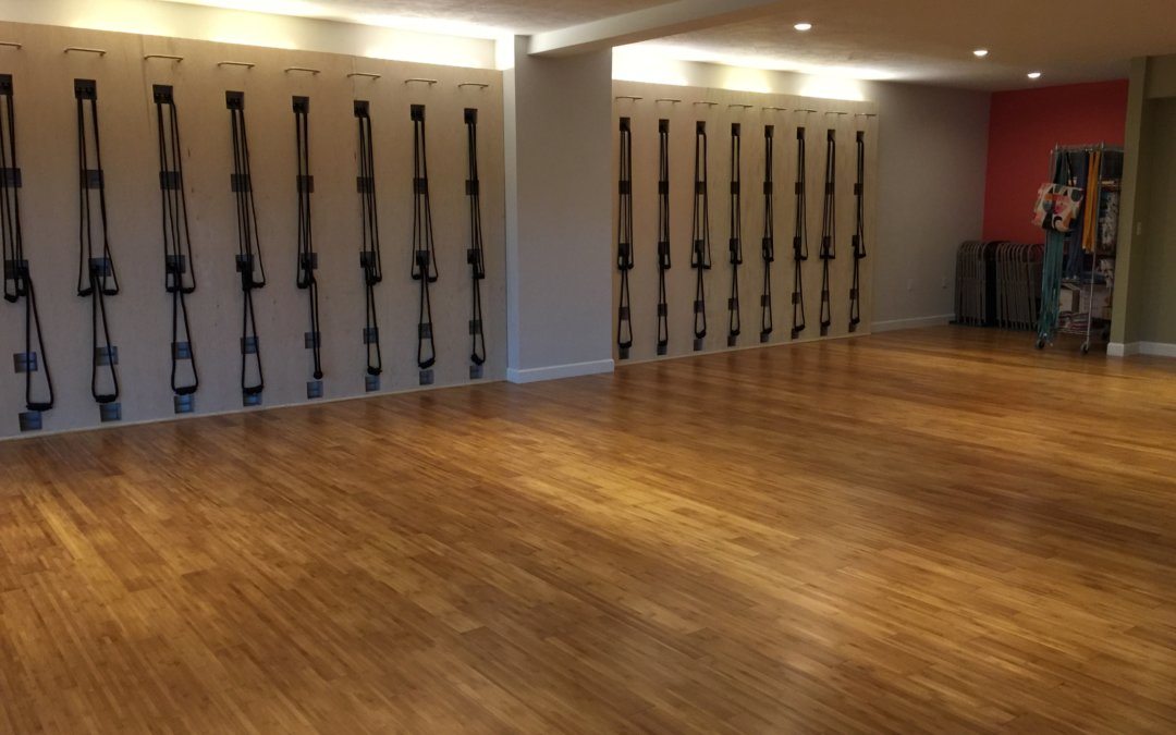 Iyengar Yoga Studio Opens in St. Pete Fl